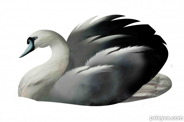 Creation of Blue swan: Step 6